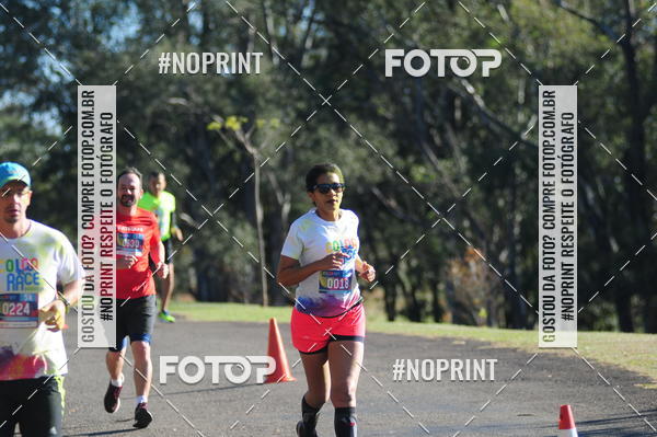 Buy your photos of the eventColor Race Brasil - Campinas on Fotop