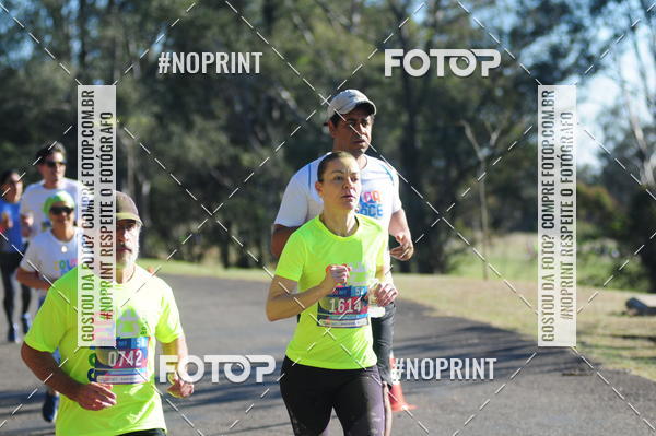 Buy your photos of the eventColor Race Brasil - Campinas on Fotop