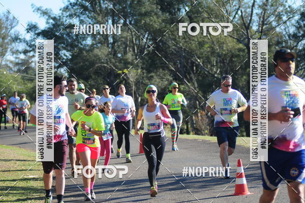 Buy your photos of the eventColor Race Brasil - Campinas on Fotop