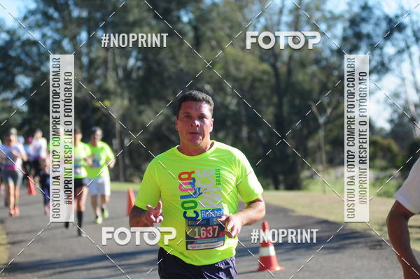 Buy your photos of the eventColor Race Brasil - Campinas on Fotop