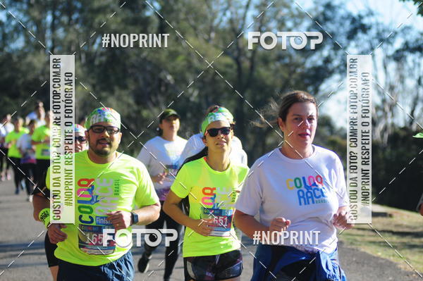 Buy your photos of the eventColor Race Brasil - Campinas on Fotop