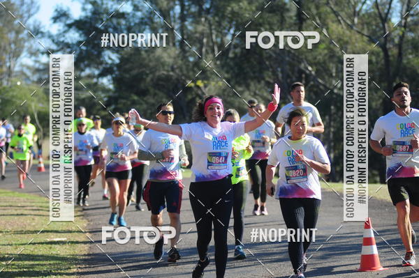 Buy your photos of the eventColor Race Brasil - Campinas on Fotop