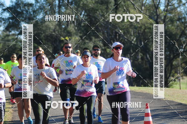 Buy your photos of the eventColor Race Brasil - Campinas on Fotop