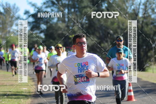 Buy your photos of the eventColor Race Brasil - Campinas on Fotop