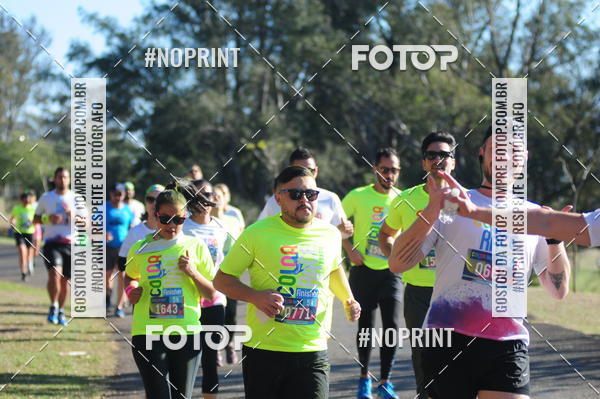 Buy your photos of the eventColor Race Brasil - Campinas on Fotop
