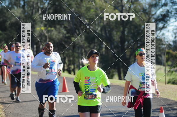 Buy your photos of the eventColor Race Brasil - Campinas on Fotop