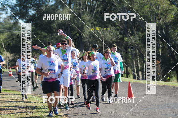 Buy your photos of the eventColor Race Brasil - Campinas on Fotop