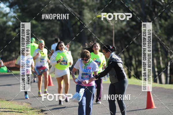 Buy your photos of the eventColor Race Brasil - Campinas on Fotop
