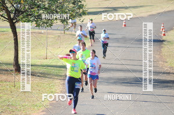 Buy your photos of the eventColor Race Brasil - Campinas on Fotop