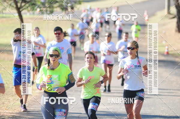 Buy your photos of the eventColor Race Brasil - Campinas on Fotop