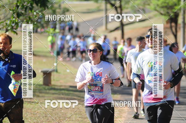 Compre suas fotos do eventoColor Race Brasil - Campinas no Fotop