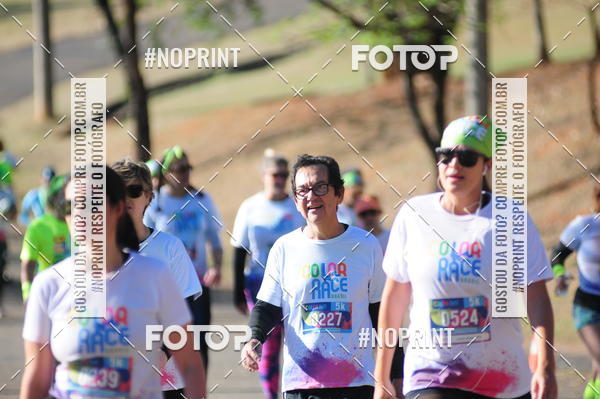 Buy your photos of the eventColor Race Brasil - Campinas on Fotop