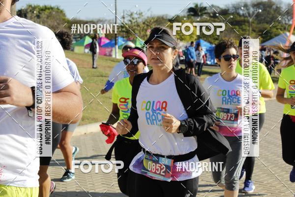 Buy your photos of the eventColor Race Brasil - Campinas on Fotop