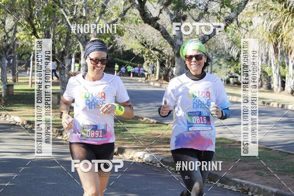Buy your photos of the eventColor Race Brasil - Campinas on Fotop