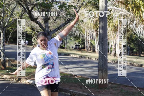 Buy your photos of the eventColor Race Brasil - Campinas on Fotop