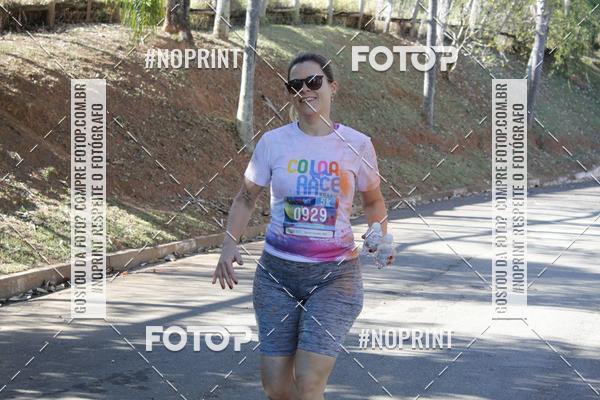 Buy your photos of the eventColor Race Brasil - Campinas on Fotop