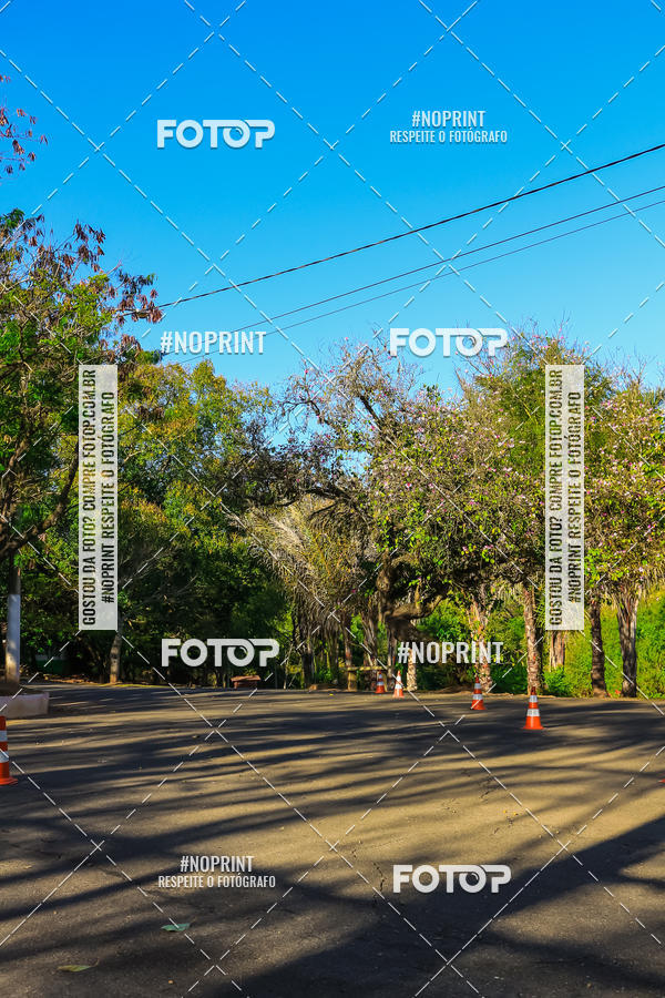 Buy your photos of the eventColor Race Brasil - Campinas on Fotop