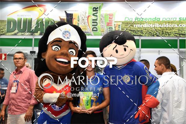 Buy your photos of the eventSUPERBAHIA 2019 on Fotop