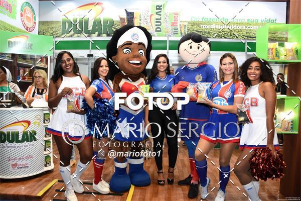 Buy your photos of the eventSUPERBAHIA 2019 on Fotop