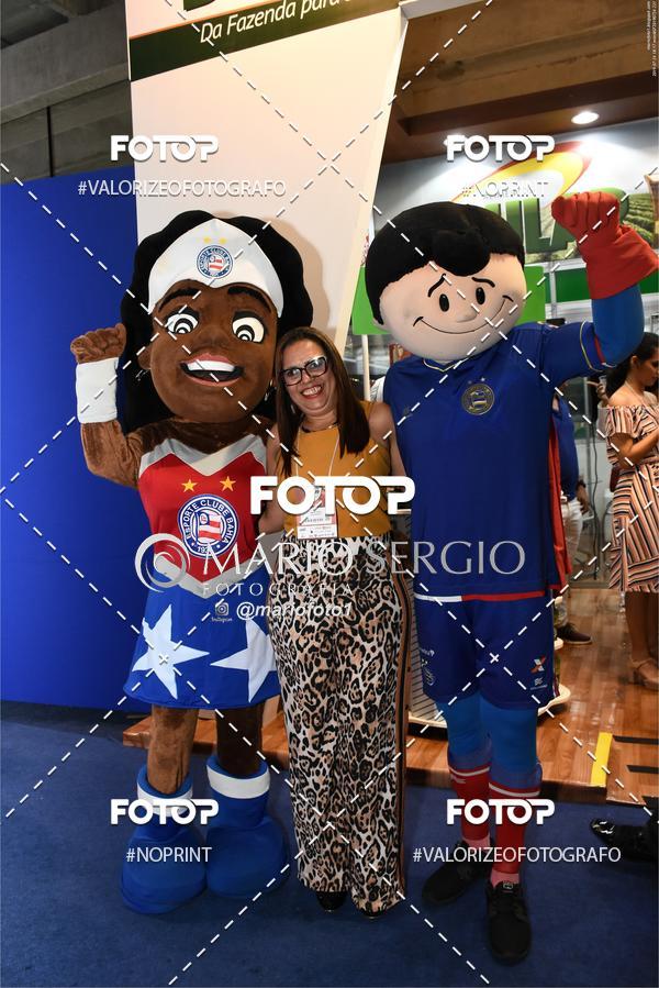 Buy your photos of the eventSUPERBAHIA 2019 on Fotop