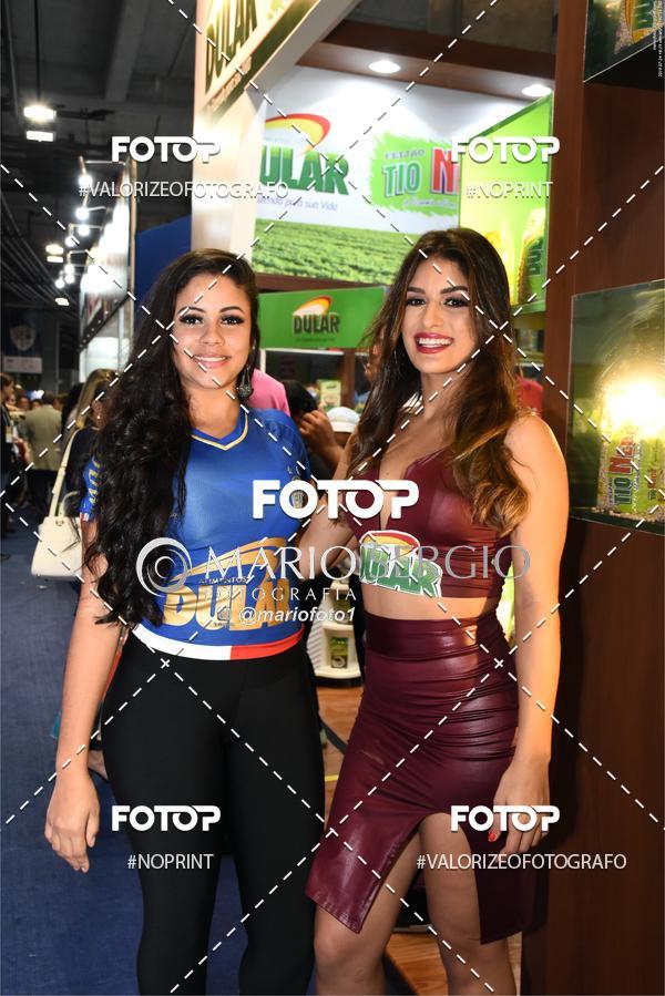 Buy your photos of the eventSUPERBAHIA 2019 on Fotop