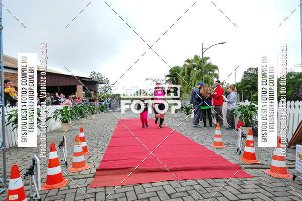 Buy your photos of the event1 Meia Maratona Timb on Fotop