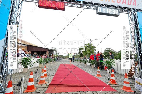 Buy your photos of the event1 Meia Maratona Timb on Fotop