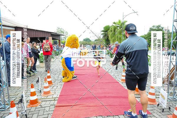 Buy your photos of the event1 Meia Maratona Timb on Fotop