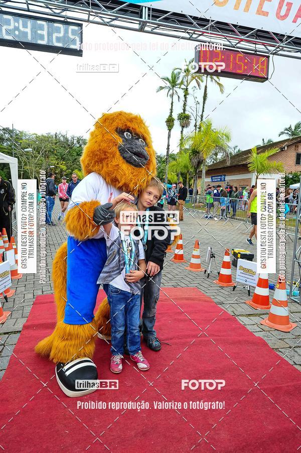 Buy your photos of the event1 Meia Maratona Timb on Fotop