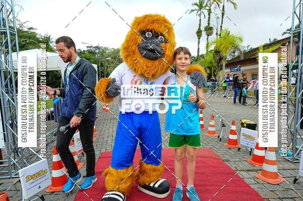 Buy your photos of the event1 Meia Maratona Timb on Fotop