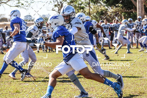 Achetez vos photos de l'vnementBFA - (Futebol Americano) Ribeiro Preto Challengers vs So Paulo Storm sur Fotop