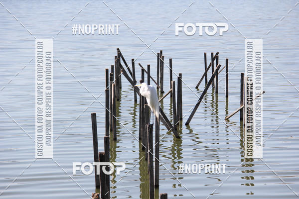 Buy your photos of the eventCircuito das Cidades - Etapa Lagoa Santa on Fotop