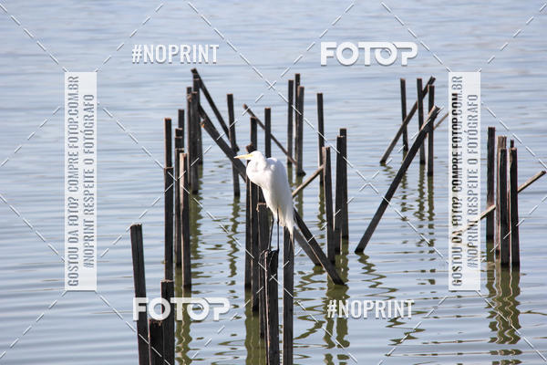 Buy your photos of the eventCircuito das Cidades - Etapa Lagoa Santa on Fotop