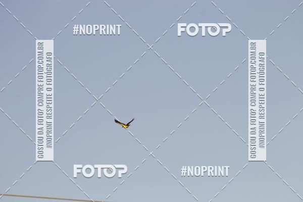 Buy your photos of the eventBraslia Moto Capital Week on Fotop