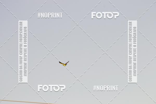 Buy your photos of the eventBras�lia Moto Capital Week on Fotop