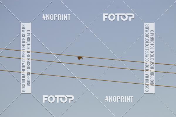 Buy your photos of the eventBraslia Moto Capital Week on Fotop