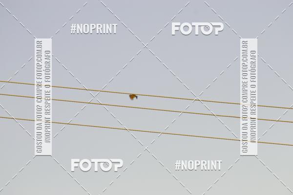 Buy your photos of the eventBras�lia Moto Capital Week on Fotop