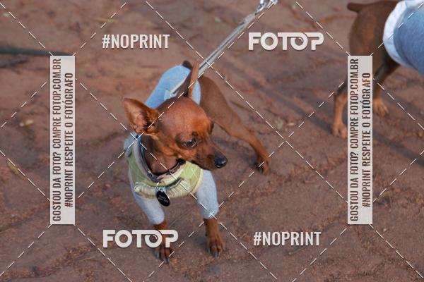 Buy your photos of the eventRainhas da Montanha 2019 on Fotop