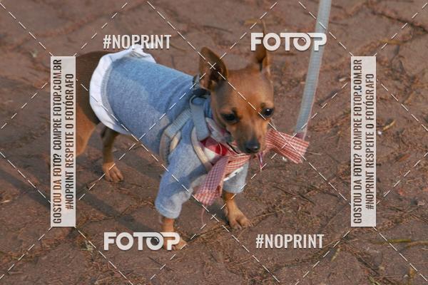 Buy your photos of the eventRainhas da Montanha 2019 on Fotop