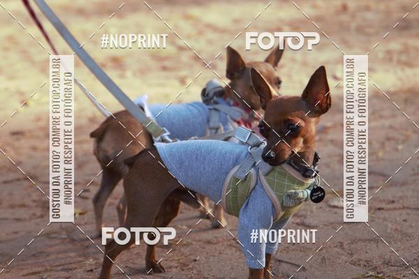 Buy your photos of the eventRainhas da Montanha 2019 on Fotop