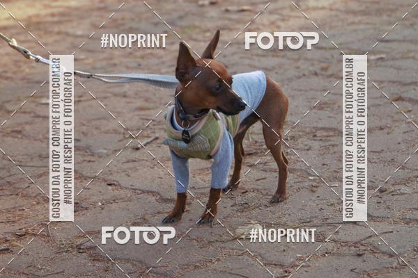 Buy your photos of the eventRainhas da Montanha 2019 on Fotop