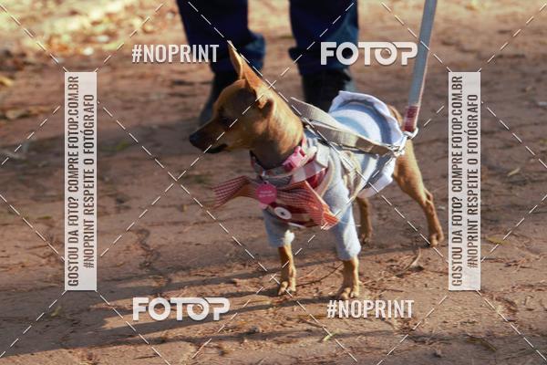 Buy your photos of the eventRainhas da Montanha 2019 on Fotop