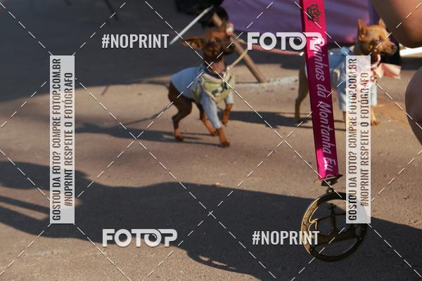 Buy your photos of the eventRainhas da Montanha 2019 on Fotop