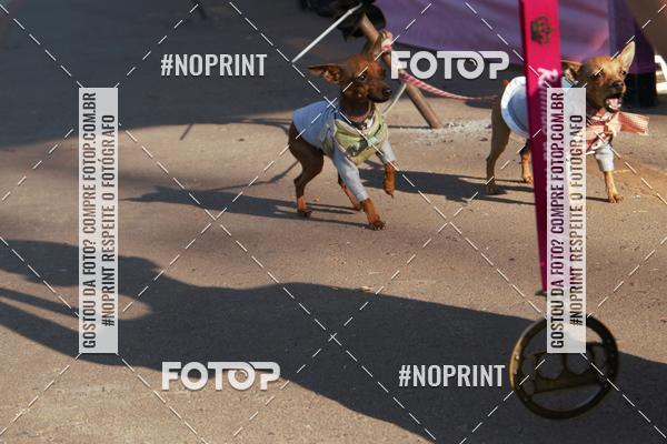 Buy your photos of the eventRainhas da Montanha 2019 on Fotop