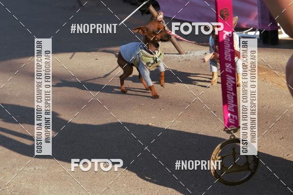 Buy your photos of the eventRainhas da Montanha 2019 on Fotop