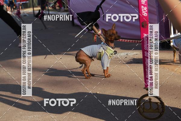 Buy your photos of the eventRainhas da Montanha 2019 on Fotop