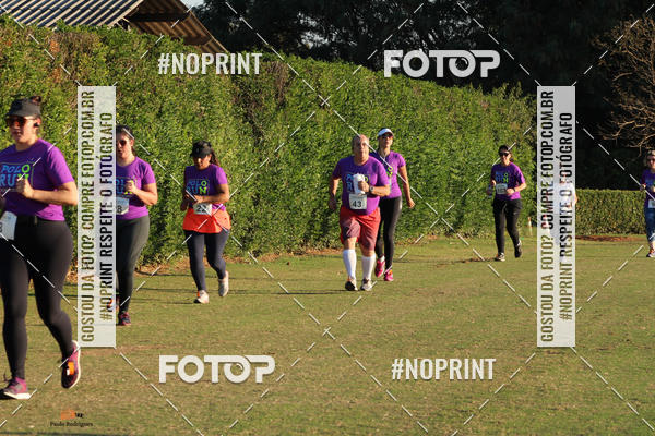 Buy your photos of the eventPOLO RUN 2019 on Fotop