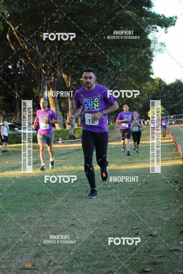 Buy your photos of the eventPOLO RUN 2019 on Fotop