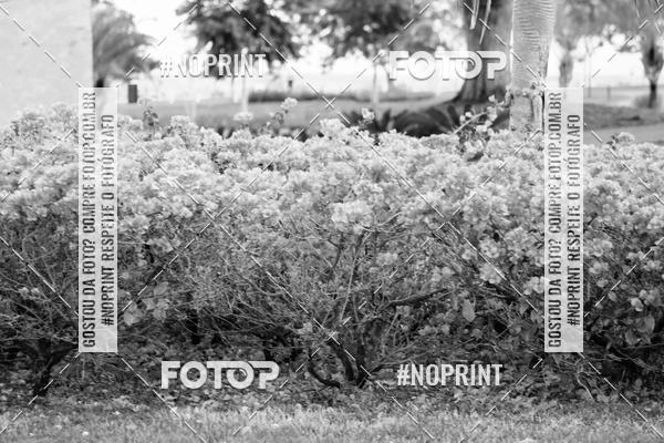 Buy your photos of the eventTreino Especial Galera do Pace  on Fotop
