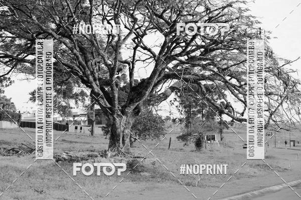 Buy your photos of the eventTreino Especial Galera do Pace  on Fotop